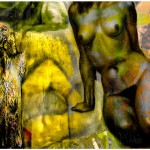 la timidez del desnudo